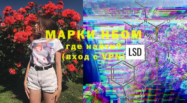 индика Пересвет