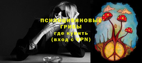 тгк Осинники