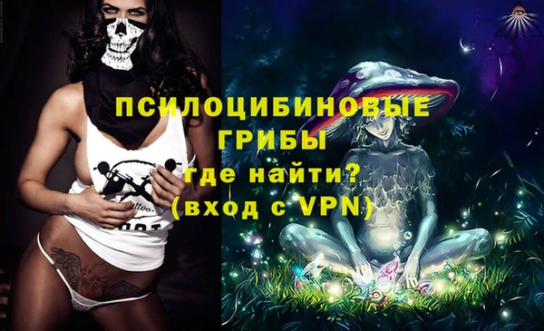 spice Пестово