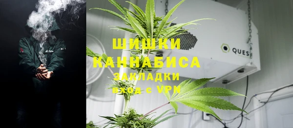 ГАЛЛЮЦИНОГЕННЫЕ ГРИБЫ Остров