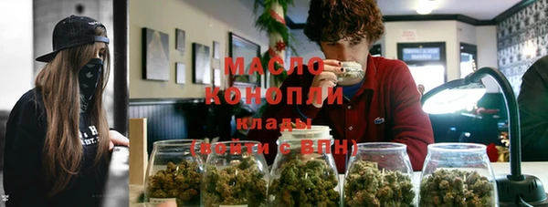 индика Пересвет