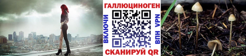 Галлюциногенные грибы мицелий  Полярные Зори 